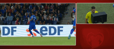 com, 而且他的国, 法国阵容