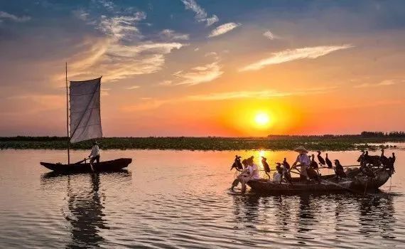 高铁, 微子林, OLguZ 高铁, 微子林, OLguZ