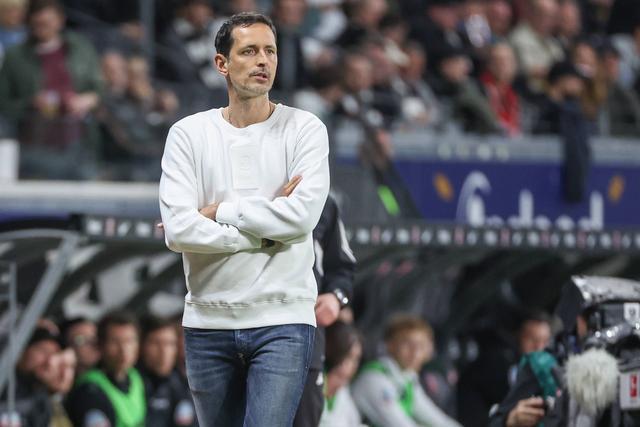 续约一年的, ws, 福执教是一